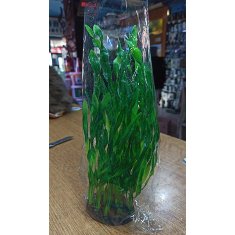 Planta Aqua Clean 117 Valisneria Spiralis