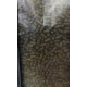 Nutricon Pond Nishikigoi Premium 5 Kilos
