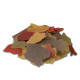 Prodac Tropical 20 g