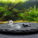 Aqua Clean Difusor de CO2