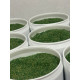 The Coral Garden Resina Desionizadora O,5 kg OEM