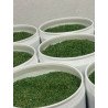The Coral Garden Resina Desionizadora O,5 L OEM 400 G