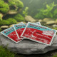 Aqua Pack Heat Pack x 1 40 Horas