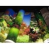 Lamina 50 cm Decorativa Por Metro