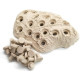 Oceans Wonders Coral Frag Hub 10.0