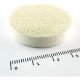 Oceans Wonders Coral Frag Disk 20