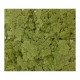 Ocean Nutrition F2 Escamas 154 g