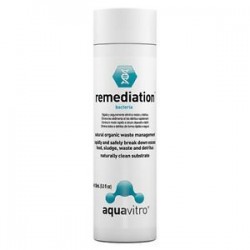 Aquavitro Remediation x 150 ml Bacterias Seachem