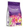 Sal AquaForest Sea x 7.5 k