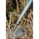 Pipeta para alimentar Aqua Medic 35 cm
