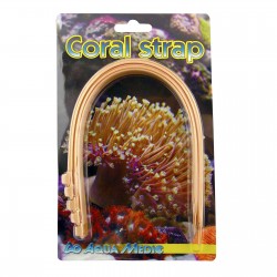 Coral Trap Aqua Medic