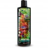 Brightwell Fish Recover FW x 125 ml Antibacteriano Natural Regenerador