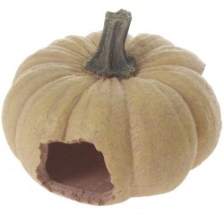 Adorno Calabaza