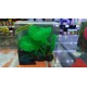Planta RS Hojas de Loto LLG9R Artificial