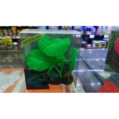 Plantas Hojas de Loto Verde