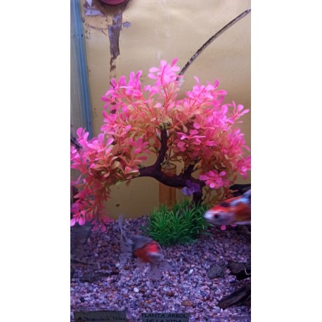 Plantas Arbol de la Vida