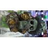 U-392 S Calavera Pirata