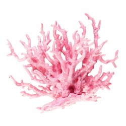 Adorno Coral Penn-Plax Stag Rosa