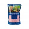 Piedras Marina 2 K Rosa Souvenir Cactus Suculentas