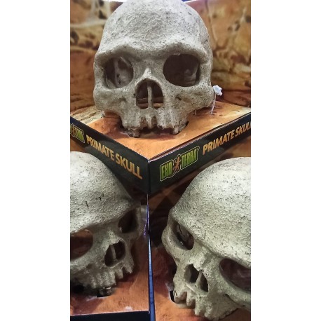 Adorno Exo Terra Primate Grande