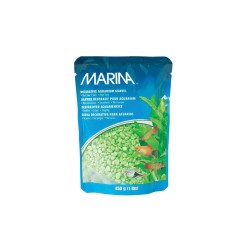 Piedras Marina Verde Agua  450 g Souvenir Cactus Suculentas