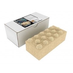 Brightwell Xport NO3 Brick Ladrillo Material Poroso Anti Nitratos
