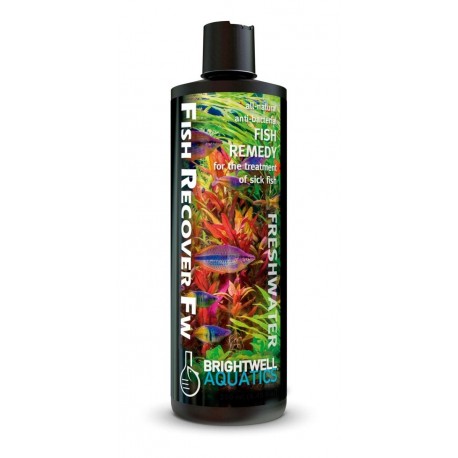 Brightwell Fish Recover FW x 1000 ml Antibacteriano Regenerador