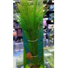 Planta Fluval PP-1632 Artificial