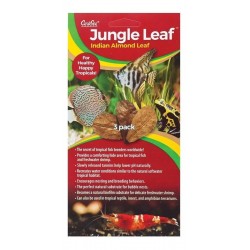 Hojas de Almendro Indio Caribe Sea x 3 unidades