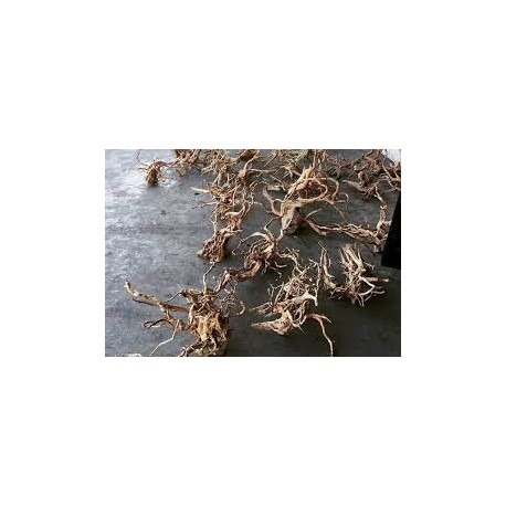Raices de Azaleas (Azalea Root) x kilo