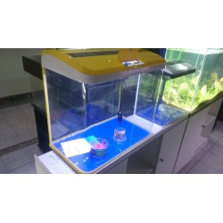 Acuario Sobo AA-840 Amarillo 50 Litros