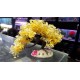 Planta Artificial Arbol de la Vida Chicos 20 CM