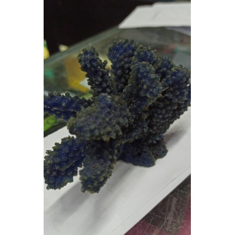 Adorno Coral Soft 1022