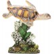RR-1104 Tortuga Nadando