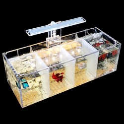 Pecera Acuario Multibetera Acrilica x 4  Luz Y Filtro