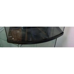 Base Plastica Panoramica