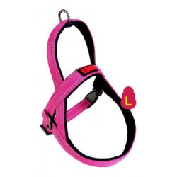 Kong Arnes Noruego L Fucsia 12331