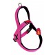 Kong Arnes Noruego S Fucsia 12329