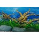 Lamina 30 cm Decorativa 30 Doble Faz Por Metro