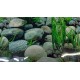 Lamina 30 cm Decorativa Zen Doble Faz Por Metro