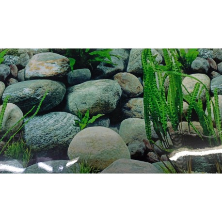 Lamina 30 cm Decorativa Zen Doble Faz Por Metro