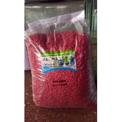 Piedras San Lorenzo Spiderman 500 g Souvenir Cactus Suculentas