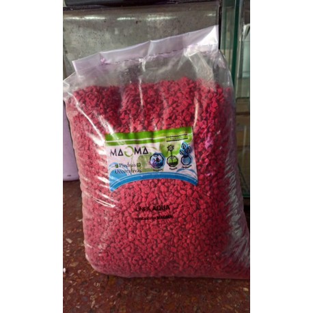 Piedras San Lorenzo Spiderman 500 g Souvenir Cactus Suculentas