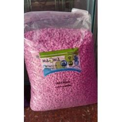Piedras San Lorenzo Spiderman 500 g Souvenir Cactus Suculentas