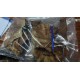 Hojas De Almendro Indio Alpha Pet x 4