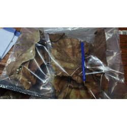 Hojas De Almendro Indio Alpha Pet x 4