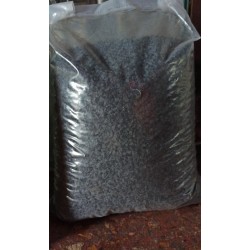 Piedras Magma Negras 10 kg Souvenir Cactus Suculentas
