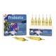 Prodibio Probiotix x 4 Ampolla