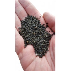 Water Vet Gravilla Negra 5 KG Inerte