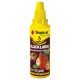 Tropical Blacklarin